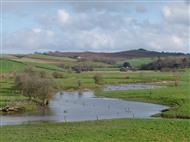 Flooded low fields with view to distant hills